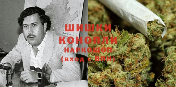 Альфа ПВП Новозыбков