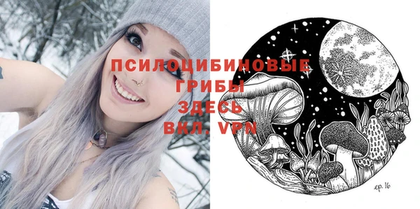Альфа ПВП Новозыбков