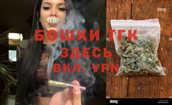 Альфа ПВП Новозыбков