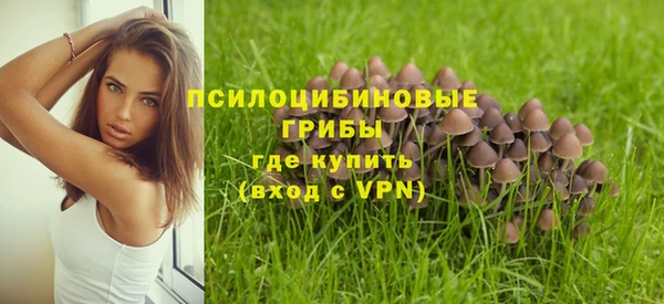 метамфетамин Новодвинск