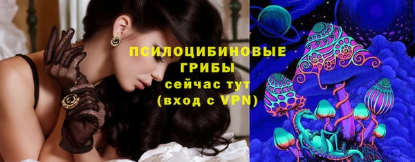Альфа ПВП Новозыбков