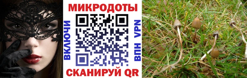 Галлюциногенные грибы Magic Shrooms  Торжок 