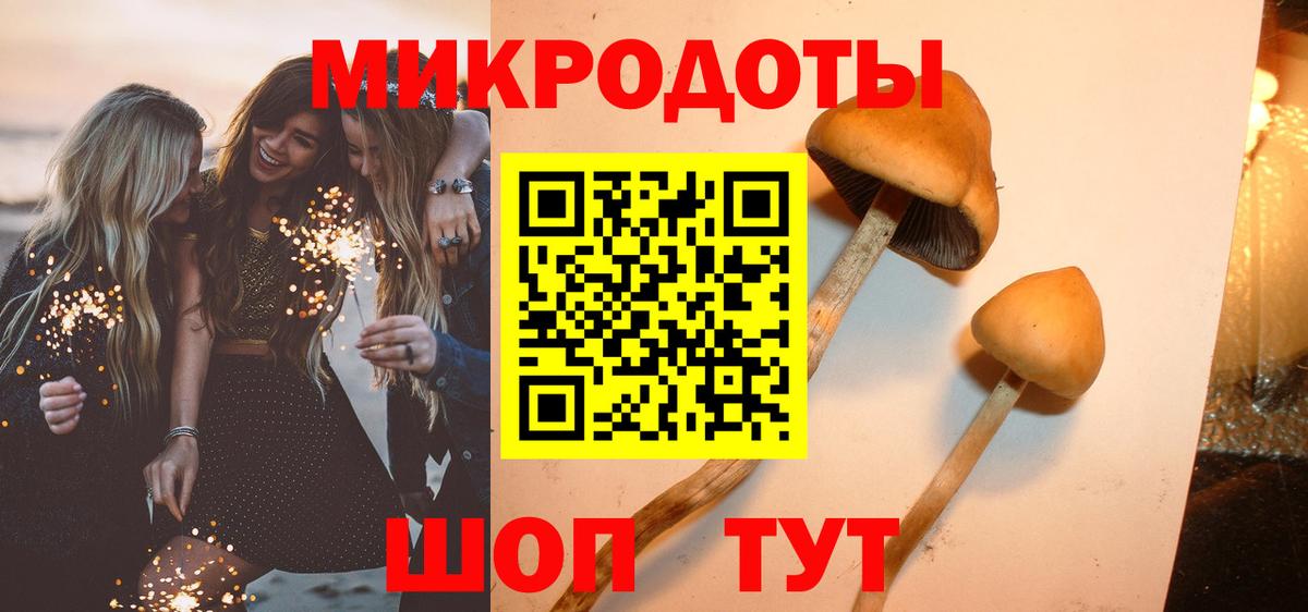 Торжок  Псилоцибиновые грибы GOLDEN TEACHER  Вход с VPN 