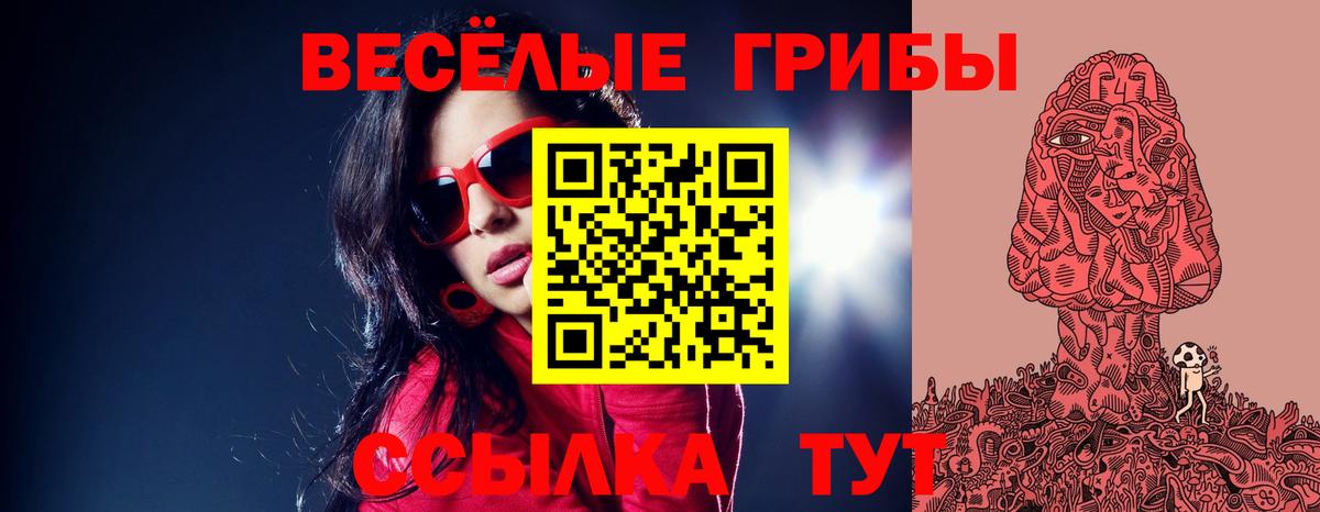 Псилоцибиновые грибы прущие грибы Торжок