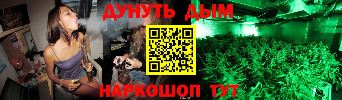 Бошки Шишки гибрид Торжок